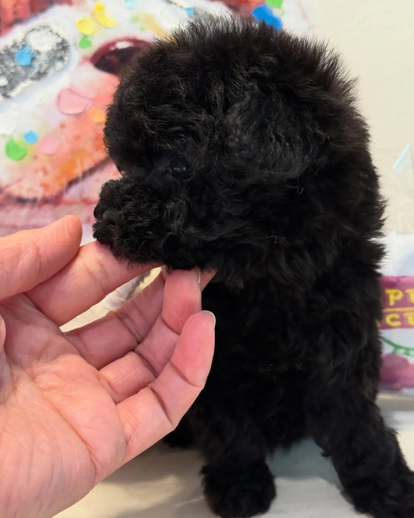 久しぶりのブラック🩷