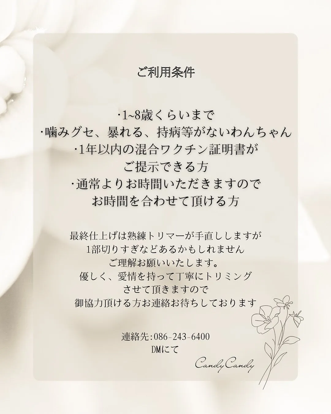 モデル犬を募集します！