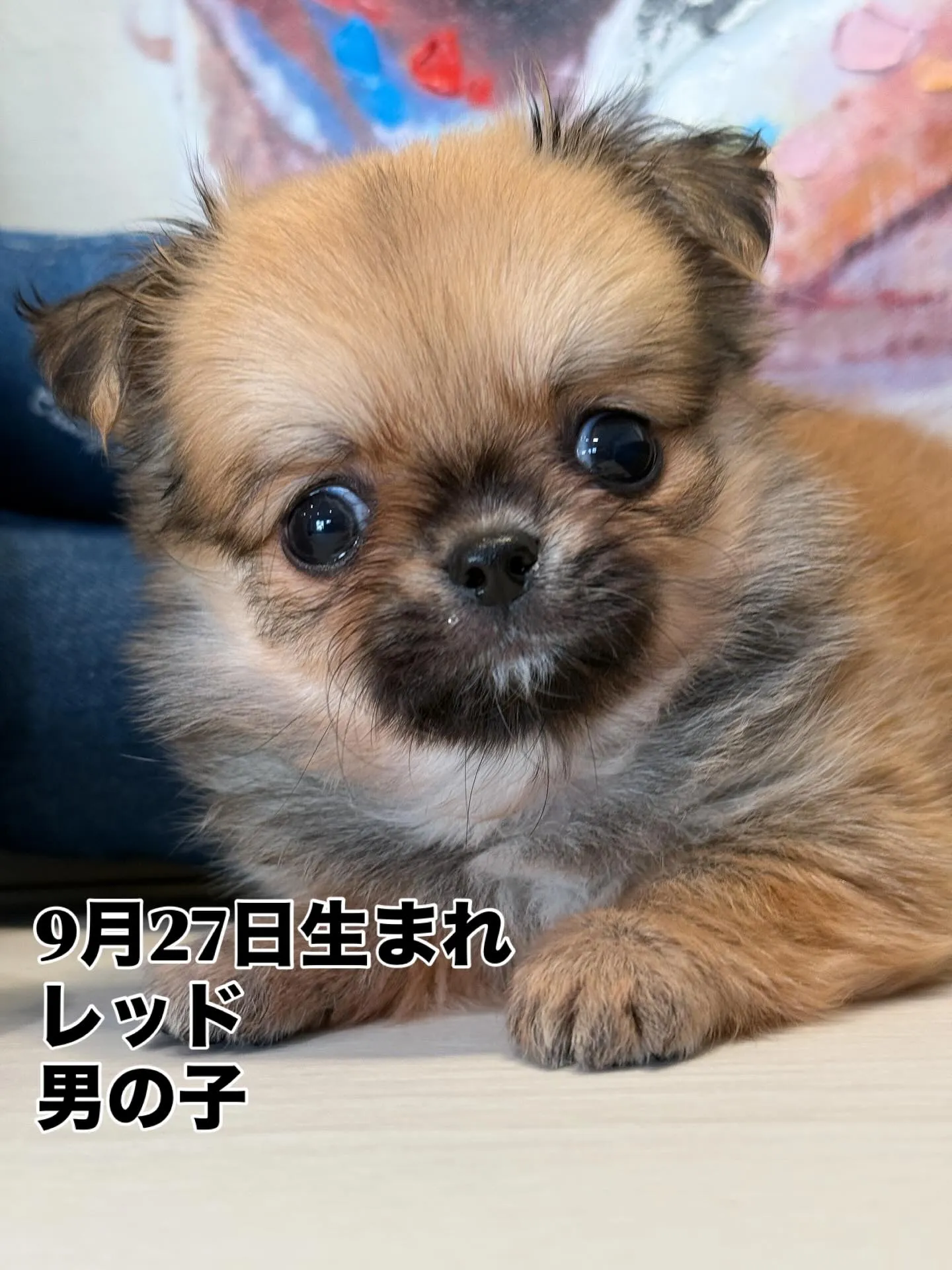 ご家族募集します！