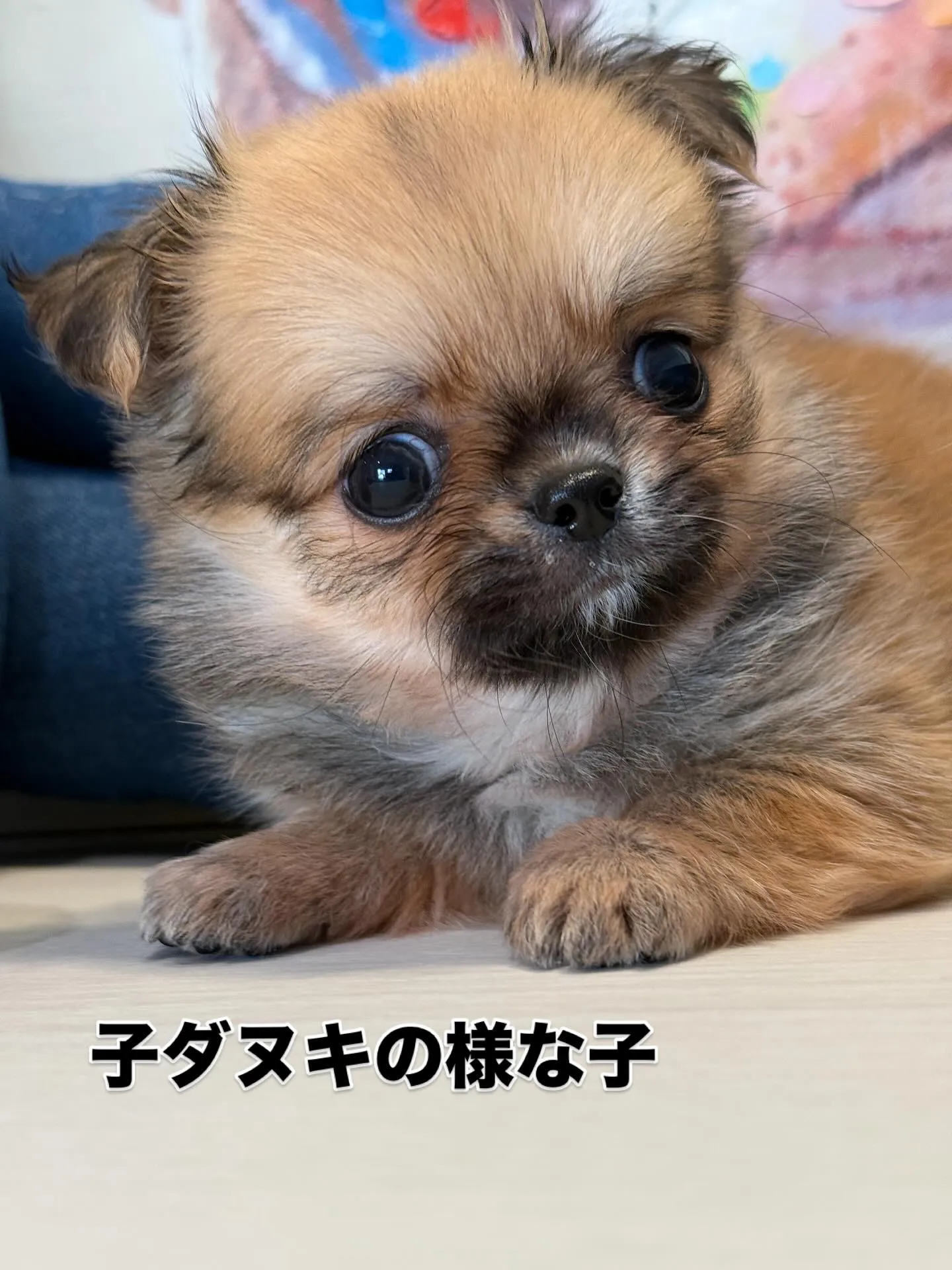 ご家族募集します！