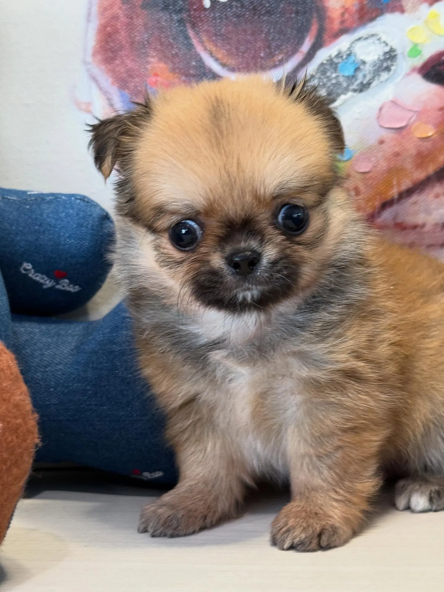 ご家族募集します！