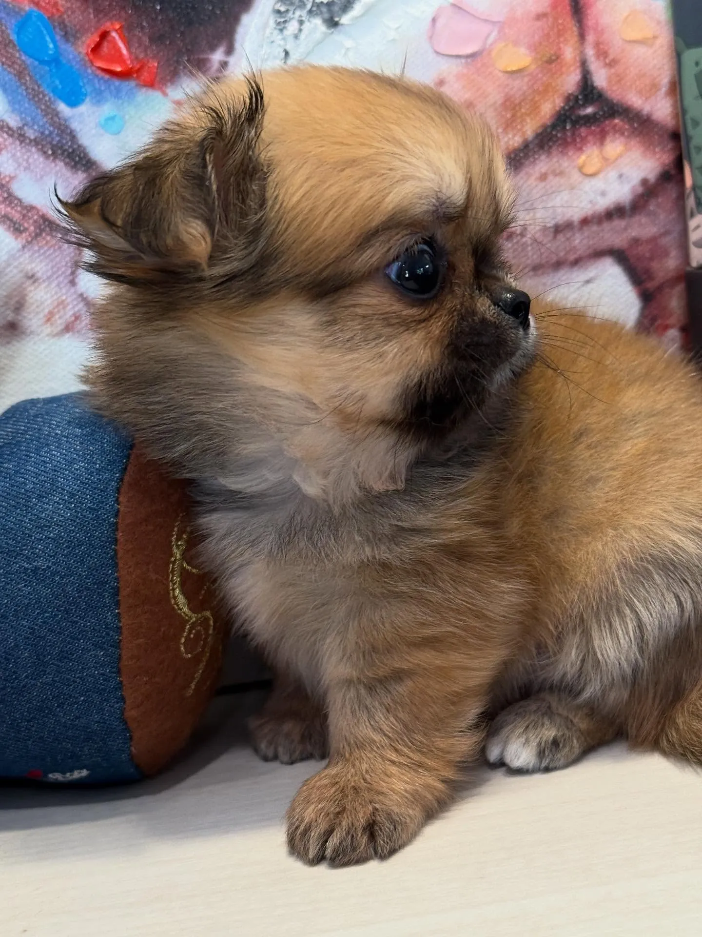 ご家族募集します！