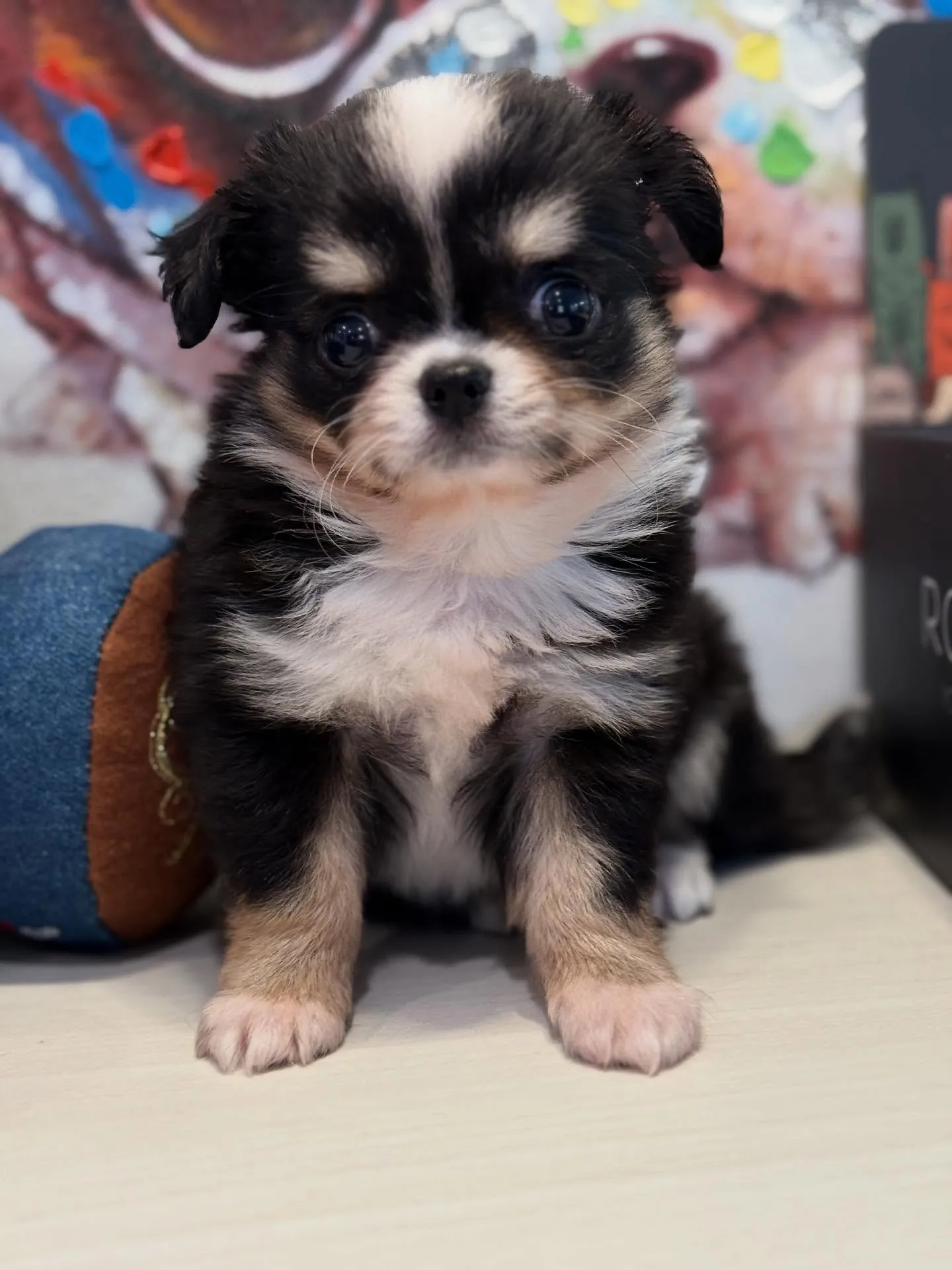 ド派手カラーの🩵僕