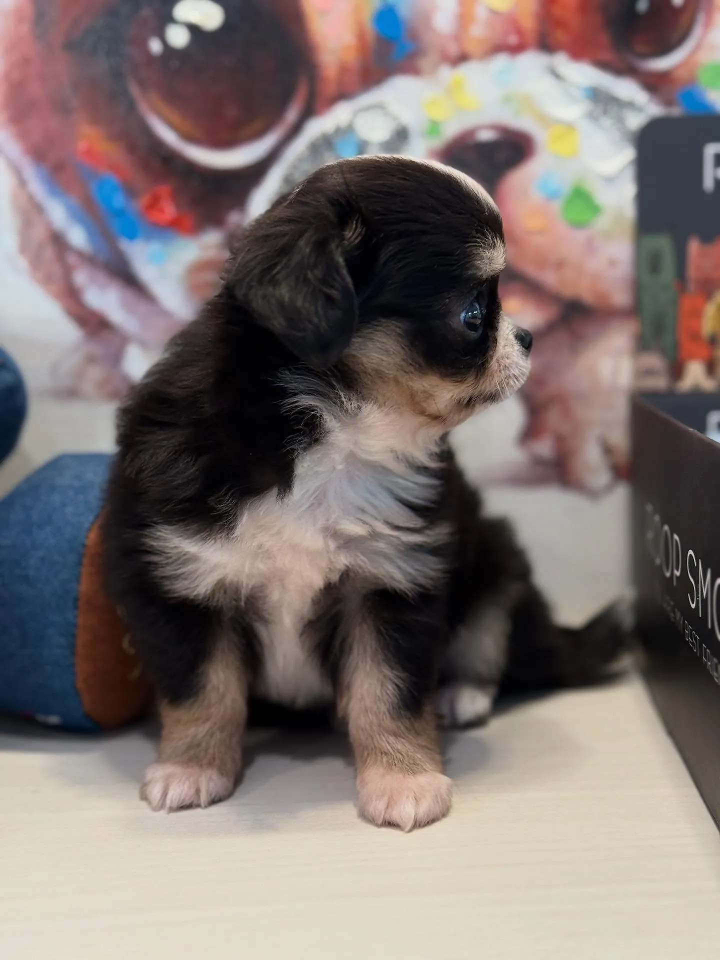 ド派手カラーの🩵僕