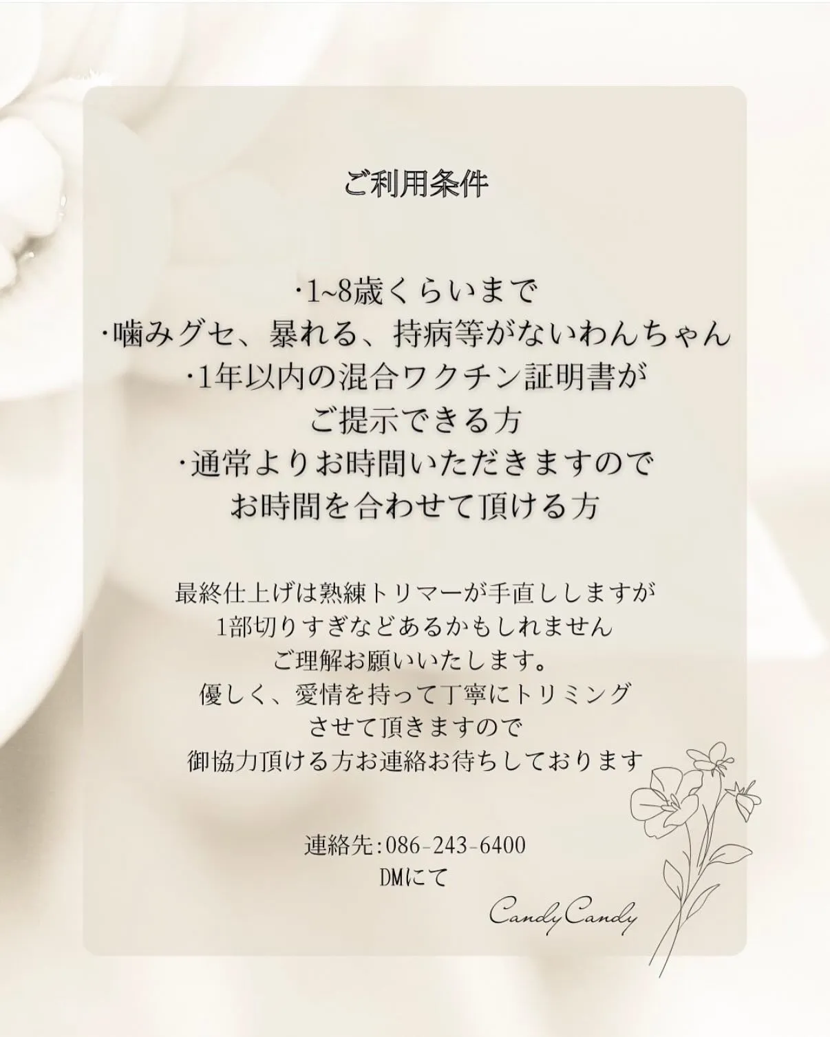 モデル犬を募集します!