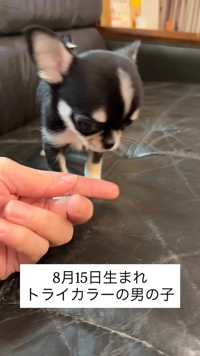 小さくっても、一丁前😊